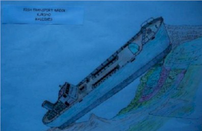 Fish Transporter Wreck